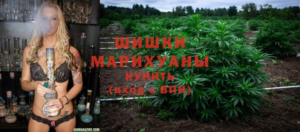 ПСИЛОЦИБИНОВЫЕ ГРИБЫ Беломорск
