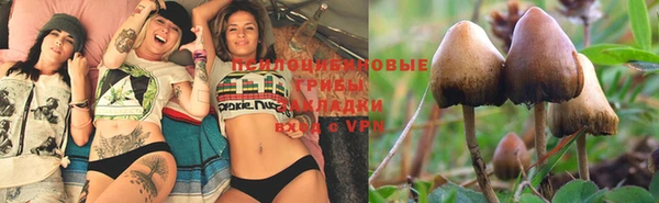 прущая мука Белокуриха