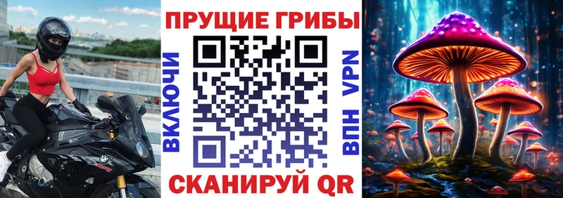 Псилоцибиновые грибы мухоморы  Топки 